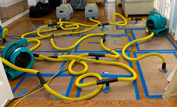 Professional Crawl Space Water Removal technician working in Helen, GA